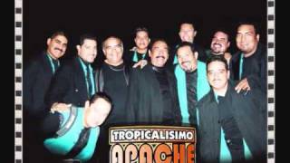 TROPICALISIMO APACHE SUSANA EN VIVO [upl. by Noryak]