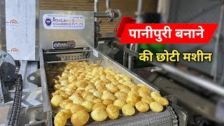 Small Pani Puri Making Machine  Business Ideas [upl. by Olinad]