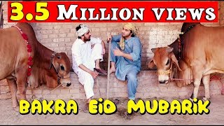 Bakra Eid mubarik l Peshori vines Official [upl. by Reichert]