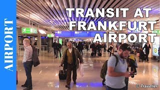 TRANSIT WALK AT FRANKFURT Airport FRA Terminal 1  Connection Flight Transfer Arriving amp Departing [upl. by Martino435]