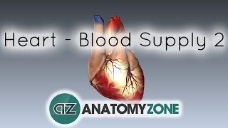 Blood supply to the heart  PART 2  Anatomy Tutorial [upl. by Debor]