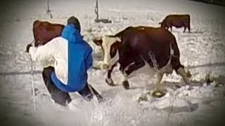 Candide Thovex charged by a COW [upl. by Shapiro961]