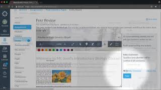 Peer Reviews Canvas Tutorial Video Series [upl. by Anel]