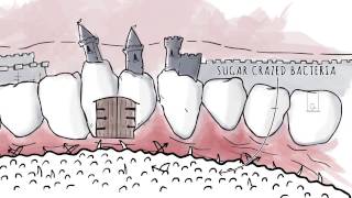 How Xylitol Works  Spry Dental Defense from Xlear [upl. by Barbaraanne286]