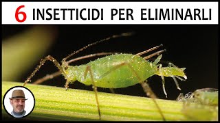 ELIMINARE i pidocchi delle piante fate così [upl. by Tierza]