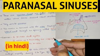 Paranasal Sinuses  1  Head amp Neck [upl. by Jae]