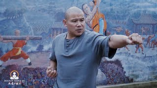 Powerful Shaolin Kung Fu Punch  Basics Tutorial [upl. by Yelrak751]