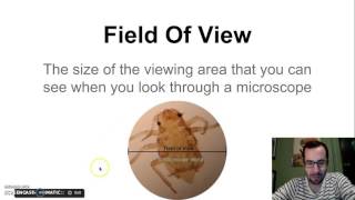 Microscopes amp Field of view Part1 [upl. by Socram]