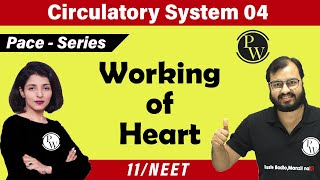 Blood Groups  ABO Grouping  Body Fluids And Circulation  Class 11 BiologyNEETAIIMS [upl. by Isac]