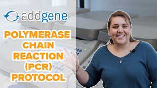 Polymerase Chain Reaction PCR Protocol [upl. by Hein]