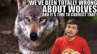 We Were Wrong About Wolves and Wolf Packs This Whole Time [upl. by Adnarram]