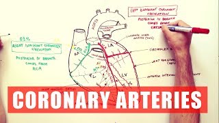 Coronary Arteries  Anatomy Tutorial [upl. by Linehan]