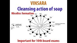 10TH ch4 topic cleansing action of soap Micelle formation [upl. by Aisa]