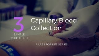 Capillary Blood Collection [upl. by Henarat]