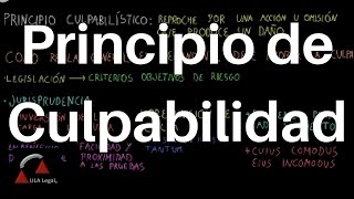 Principio de Culpabilidad DERECHO CIVIL [upl. by Damalus275]