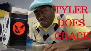 Tyler The Creator being awesome for 10 minutes straight [upl. by Aicinad293]