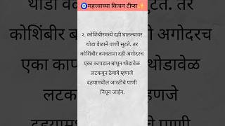 🧿 महत्त्वाच्या किचन टिप्स 💯✅ Kichen tips shorts shortsfeed kichentips [upl. by Estren]