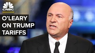 Kevin OLeary On Trade Impact Towards Canada From President Donald Trumps Tariffs [upl. by Bay]