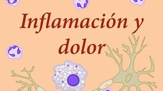 Fisiología de la Inflamación y el dolor [upl. by Nodnalb]