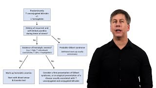 An Approach to Jaundice [upl. by Bywoods]