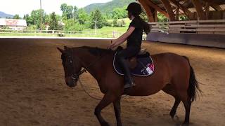 Mon passage du Galop 4 🐴🔥 [upl. by Cora]